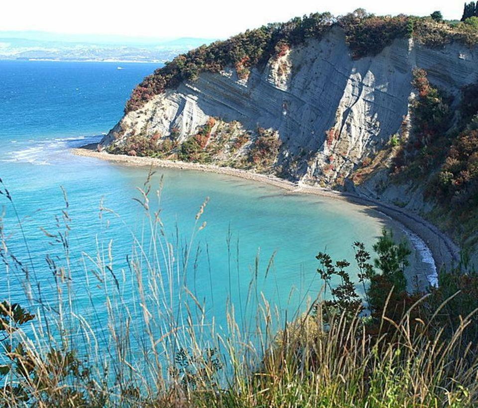 Appartamento Elli Capodistria